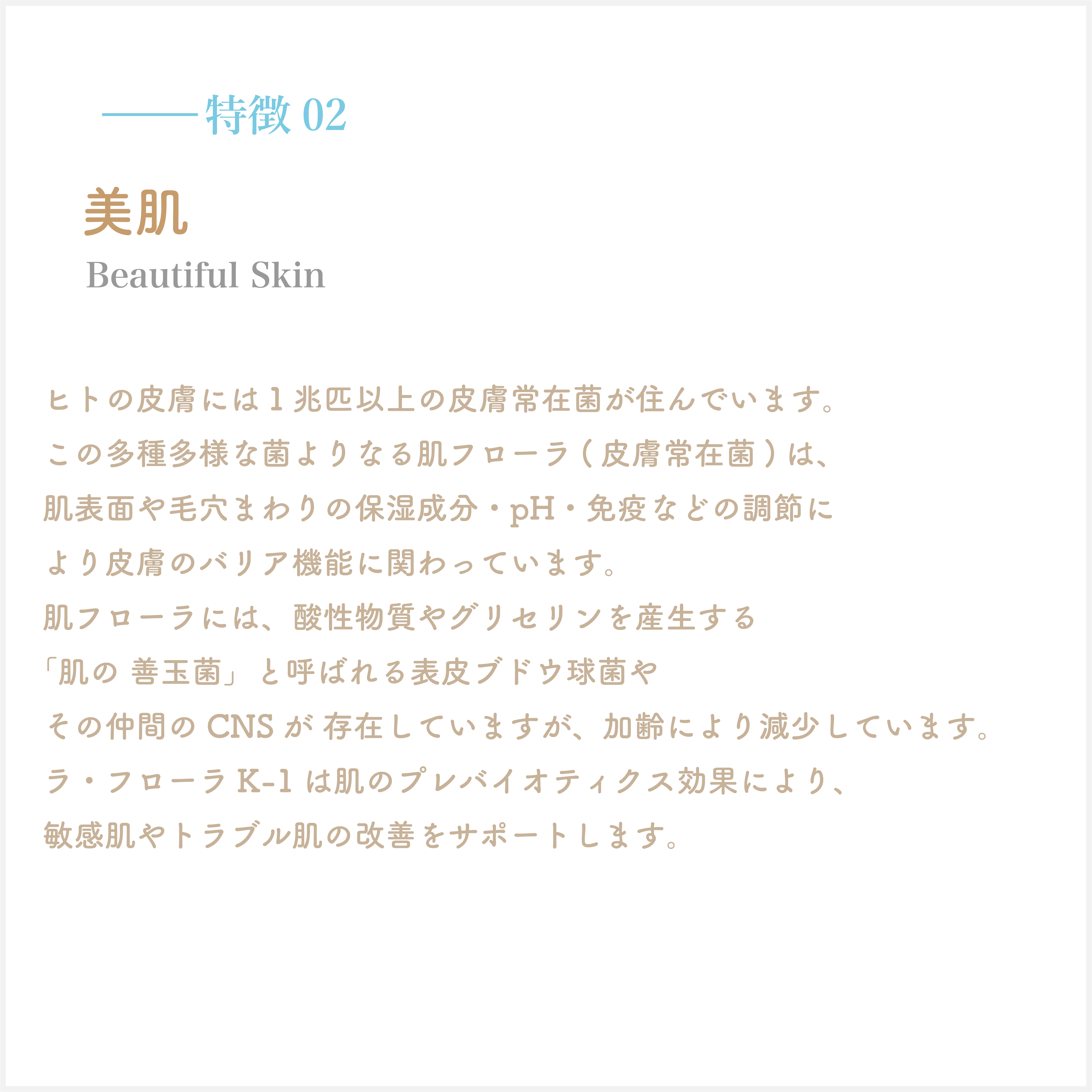 アセット 10特徴２背景グレー