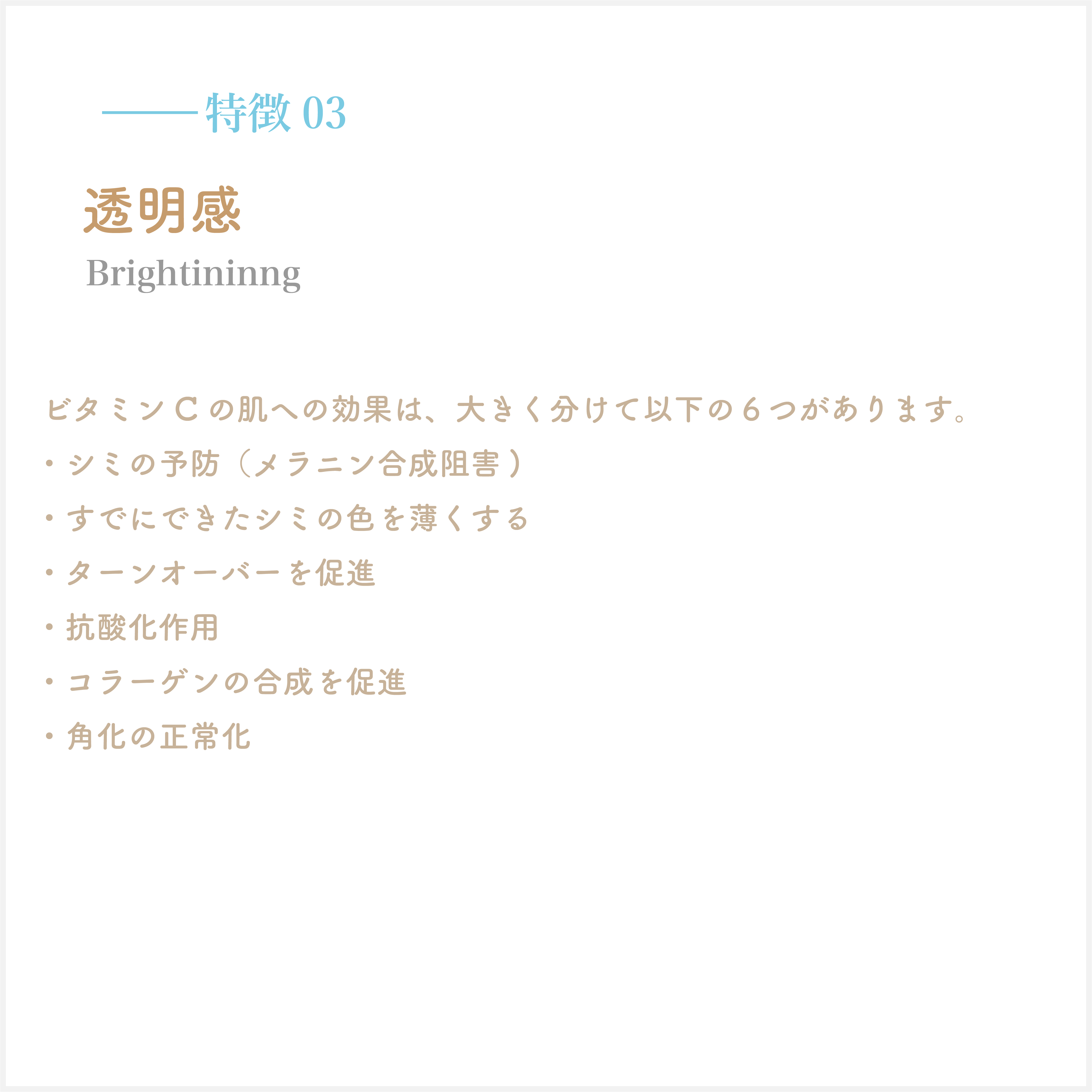 アセット 11特徴３背景グレー
