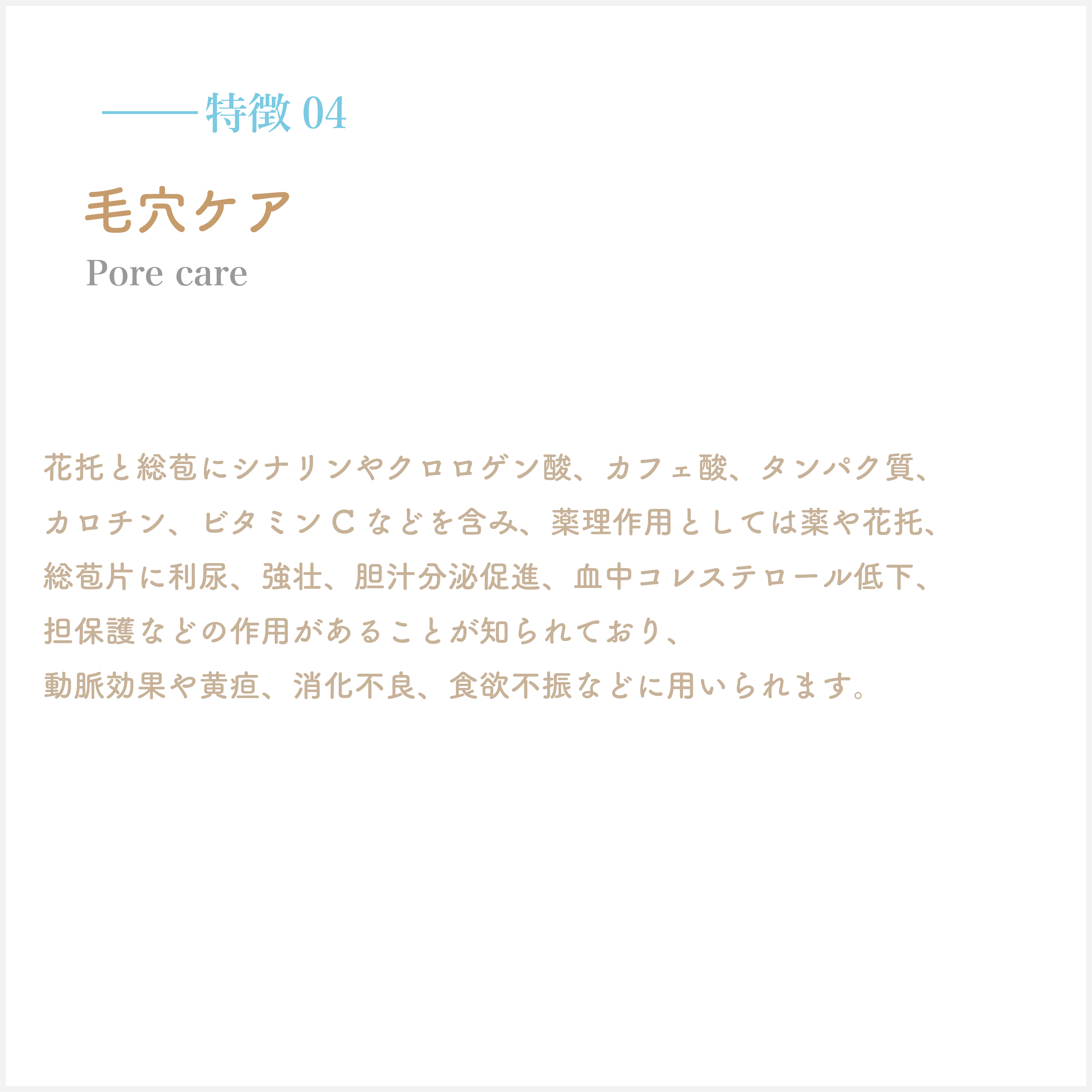 アセット 12特徴３背景グレー