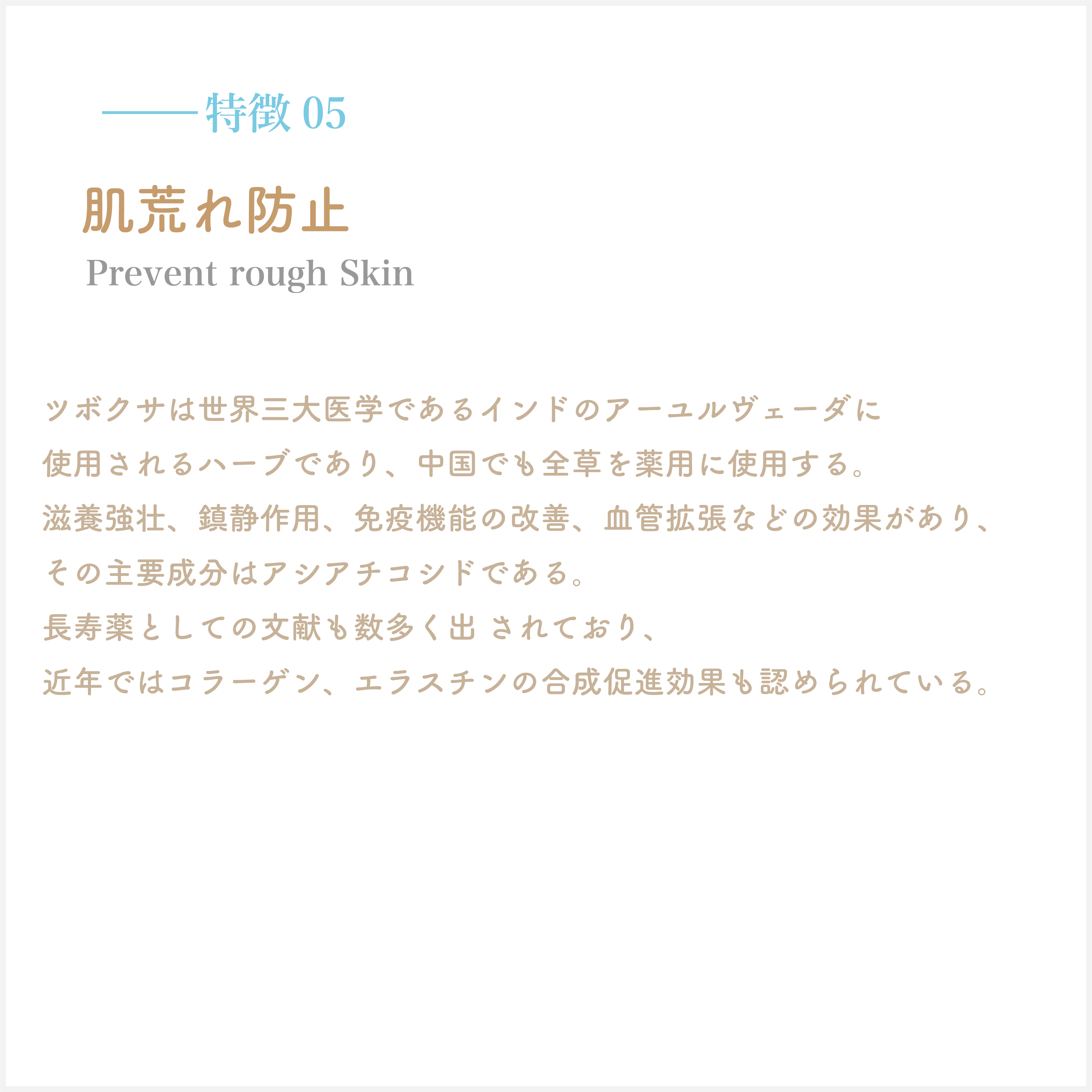 アセット 14特徴３背景グレー