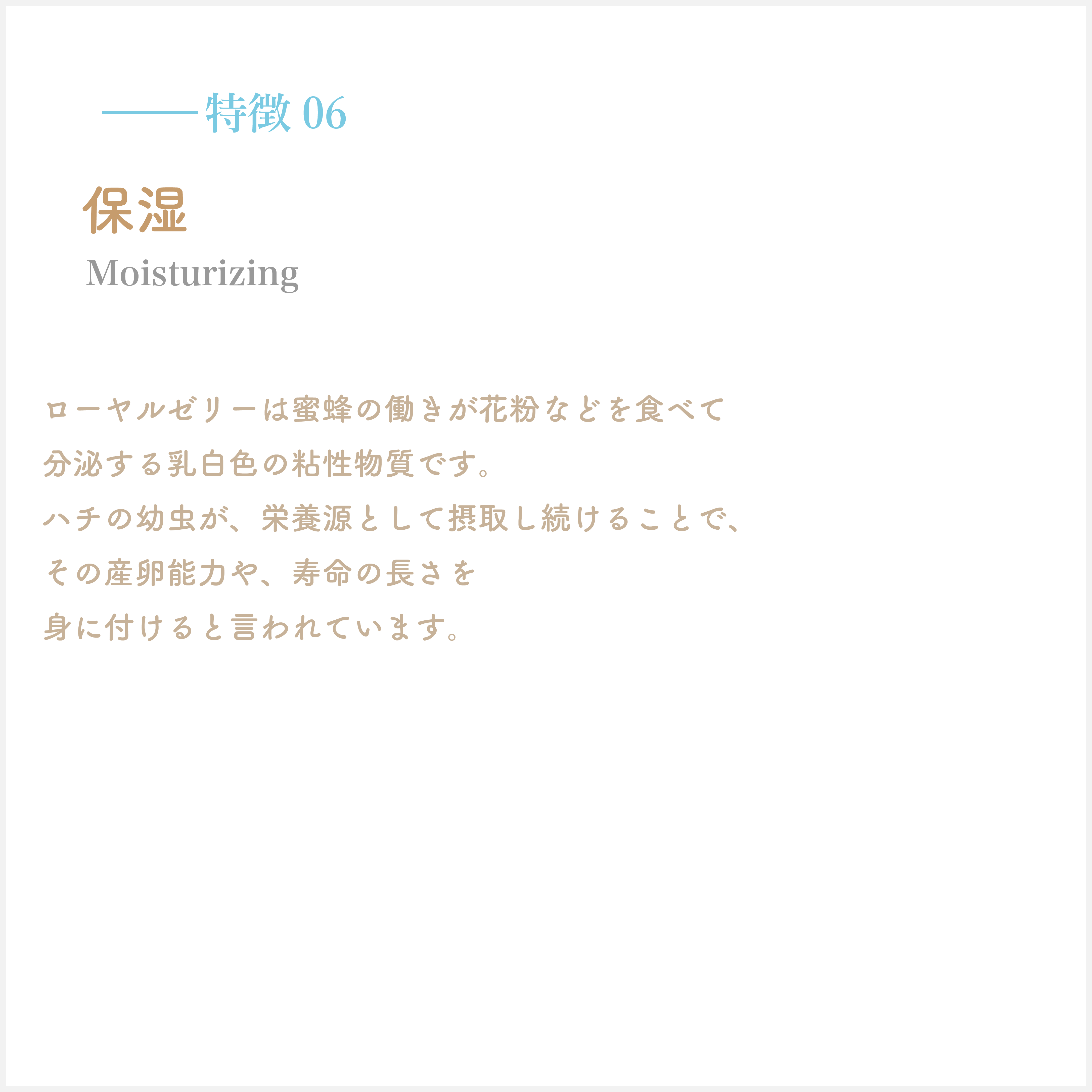 アセット 15特徴３背景グレー